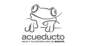 Cliente Acueducto Bogota