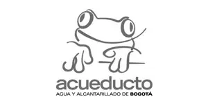 Cliente-Acueducto-Bogota